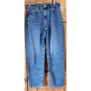 American Eagle Mom Jeans Womens 4 Regular High Rise Stretch Straight Leg Blue